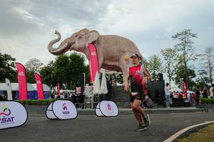 BIB: 
                            <button type="button" onclick="openModal(26528657)" class="btn btn-primary btn-sm float-right btn-popup" data-toggle="modal" data-target=".modal-high-quality">
                        <i class="fas fa-shopping-cart"></i> Add to Cart
                    </button>
                                            <button type="button" onclick="isThisMe(26528657, true)" class="btn btn-success btn-sm float-right btn-popup btn-isme hidden" data-toggle="tooltip" data-placement="bottom" title="นี่คือรูปของคุณใช่ไหม คลิกที่นี่เพื่อเอาเข้าอัลบั้ม">
                        <i class="fas fa-plus"></i> Add to album
                    </button>
                    <button type="button" onclick="isThisMe(26528657, false)" class="btn btn-warning btn-sm float-right btn-popup btn-isnotme hidden">
                        <i class="fas fa-ban"></i> Remove from album
                    </button>